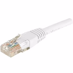 Dexlan Cat6 RJ45 UTP, 5 m, Cat6, U/UTP (UTP), RJ-45, RJ-45