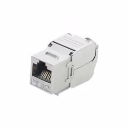Dexlan 272925, Plat, Blanc, RJ-45, IDC, Femelle, Or