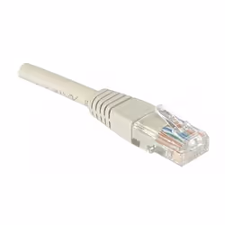 Dexlan RJ-45 Cat6 M/M 2m, 2 m, Cat6, U/UTP (UTP), RJ-45, RJ-21