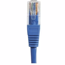 Dexlan RJ-45 Cat6 M/M 15m câble de réseau Bleu U/UTP (UTP) - Vue supplémentaire 4
