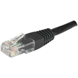 EXC 854231 câble de réseau Noir 0,3 m Cat6 U/UTP (UTP)
