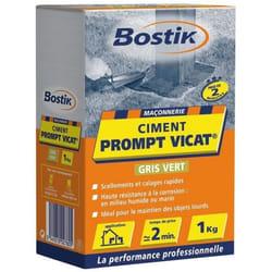 Ciment prompt Vicat® sac de 1kg - BOSTIK - 30602263