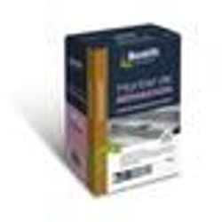 BOSTIK Mortier réparation 1kg