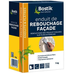 Enduit de rebouchage façade - poudre 1 Kg