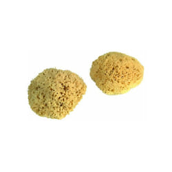 PAD - Eponge Naturelle Ss Film 16/17cm -