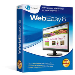 Avanquest WebEasy 8 Publication assistée par ordinateur 1 licence(s) Français