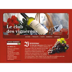 Avanquest WebEasy 8 Publication assistée par ordinateur 1 licence(s) Français