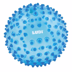 LUDI Balle Sensorielle, 0,5 an(s), Polyvinyl chloride (PVC), Bleu