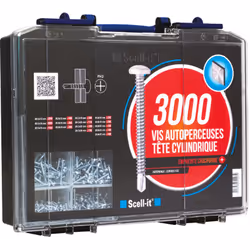 3000 vis autoperceuses de type EZP, dotées d'une tête cylindrique et d'une empreinte carrée, conçues pour une insertion préci ...