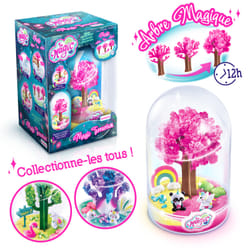 Canal Toys Coffret Secret Garden