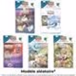 Pokémon EV06 : Pack Portfolio + Booster