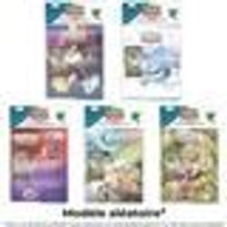 Pokémon EV06 : Pack Portfolio + Booster