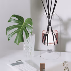 Diffuseur "Ilan" bouquet 500 ml rose claire en verre