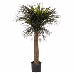 Rien de tel qu'un petit arbre pour égayer une décoration intérieure ! Le Yucca artificiel "Tropiques" est idéal pour ajouter  ...