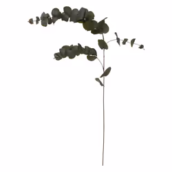 Atmosphera 185478, 1 pièce(s)