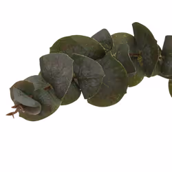 Atmosphera 185478 plante artificielle