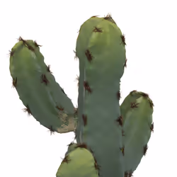 Cactus Pot Céramique Effet Terra H 24
