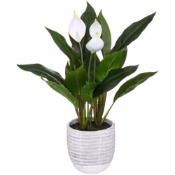Vous aimez les plantes vertes mais n'avez pas le temps ou l'envie de vous en occuper ? Ce lys de la paix Atmosphera artificie ...