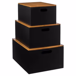 Lot de 3 boîtes Bava avec couvercle en bambou Noir - FIVE
