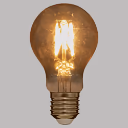 Ampoule Led E27  Dimmable  10cm Ambre