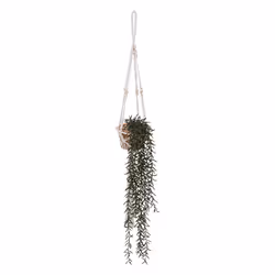 Atmosphera 189103, 1 pièce(s)