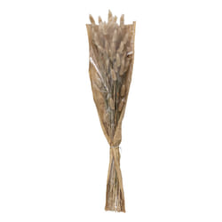 Bouquet de Fleurs  Queue de Lapin  58cm Ivoire