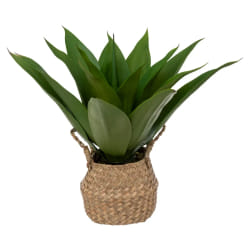 Atmosphera 189124 plante artificielle