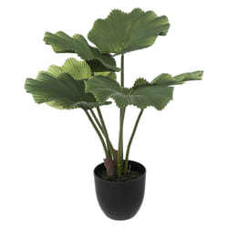 Palmier avec pot en plastique H65cm