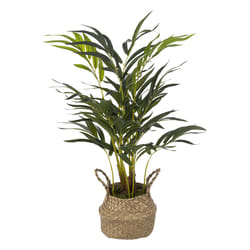Palmier avec pot naturel H80cm beige