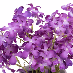 Violettes avec pot en céramique H27cm