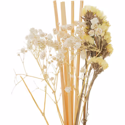 Atmosphera 192747A diffuseur aromatique