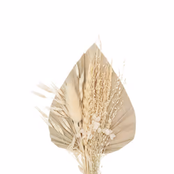 Mini Bouquet de Fleurs Naturelles  Seav  30cm Beige