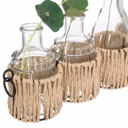 Set de 5 soliflores en verre