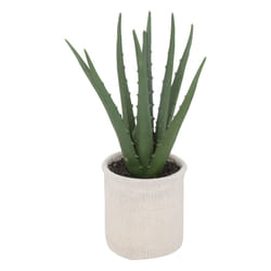 Aloe vera artificiel, H29 cm