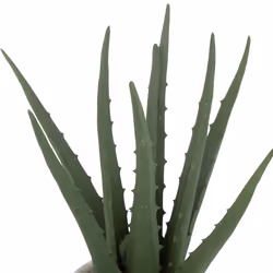 Aloe vera artificiel, H29 cm