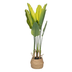 Plante strelitzia artificielle, pot en ciment, D35 cm