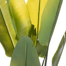 Plante strelitzia artificielle, pot en ciment, D35 cm
