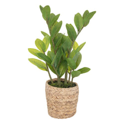 Plante artificielle