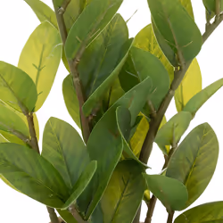 Plante artificielle