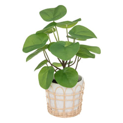 Plante artificielle, pot en céramique, H34 cm