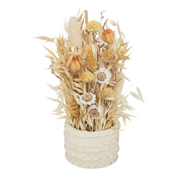 Composition de Fleurs Séchées  Pot  24cm Beige