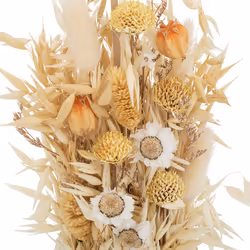 Composition de Fleurs Séchées  Pot  24cm Beige