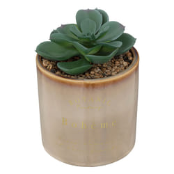 Atmosphera 193717A plante artificielle