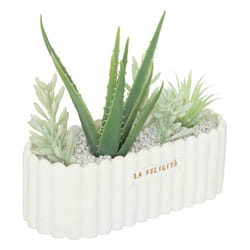 Plante artificielle "Rivi", pot en céramique, H15 cm