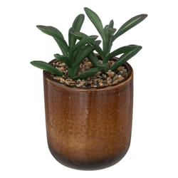 Atmosphera 193798A plante artificielle