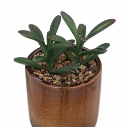 Atmosphera 193798A plante artificielle