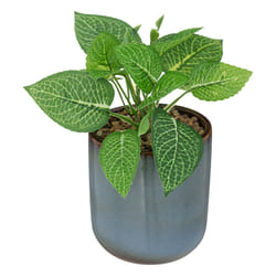 Atmosphera 193798B plante artificielle