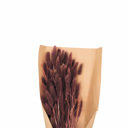 Bouquet de Fleurs  Queue de Lapin  58cm Violet