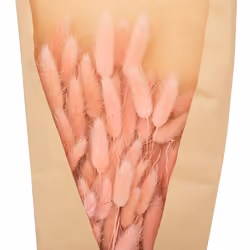 Bouquet de Fleurs  Queue de Lapin  58cm Rose