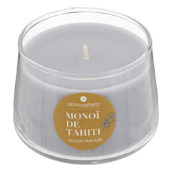 Bougie Parfumée en Verre  Izor  110g Monoï